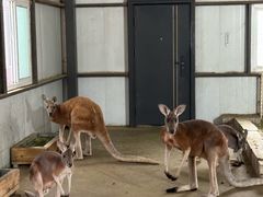 -水上乐园·欢乐世界