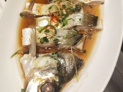 -四季春(美食街店)