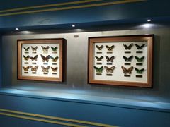 -上海昆虫博物馆