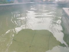 -太白山御龙湾温泉