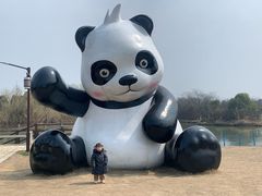 -苏州太湖国家湿地公园