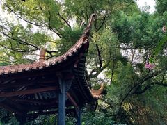 -广州兰圃