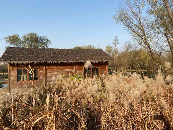 秋雪庵-"济南亮v有福利09177 在周家村入口进."-大众点评移动版