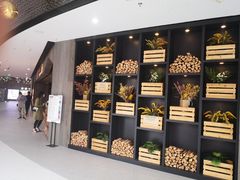 -VT101维多利广场