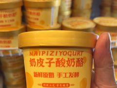 -椿记烧鹅(叠彩店)