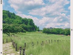 -红花山公园
