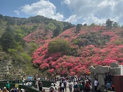-木兰云雾山