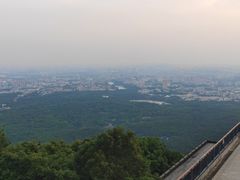 -紫金山山顶公园