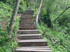 -白草畔自然风景区