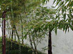 -拙政园