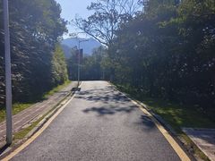-黄埔油麻山森林公园