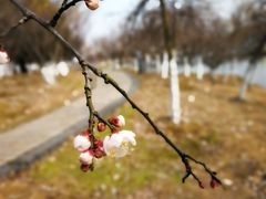 -白塘生态植物园