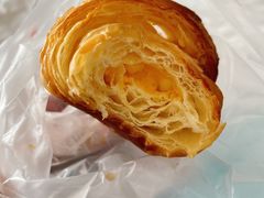 -卡吉诺动物奶油生日蛋糕(中原路店)