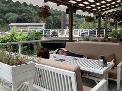 -Local泰莲庭(虹鳟鱼店)