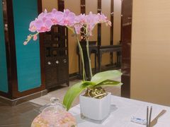 -Yan Ting 宴庭中餐厅(上海静安瑞吉酒店)
