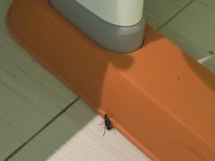 -三亚海棠湾万丽度假酒店