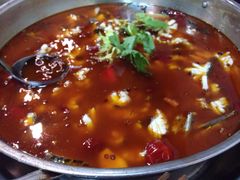 -重庆乌鱼庄·龙滋鲜(青羊大道店)