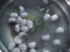 鱼肉丸-章记正宗南岗鱼蛋火锅