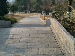 -习家池