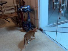 -逃脱反斗城沉浸剧情密室(北京路店)