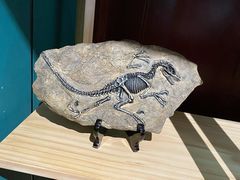 -湖南省地质博物馆