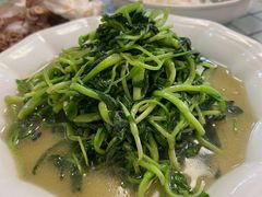 清炒鸡毛菜-百味园土菜馆(迎宾东路店)