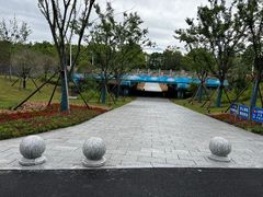 -上海滨江森林公园