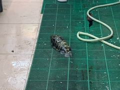-鼓歌海鲜舫·手抓海鲜(大学城店)