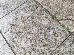 -金州站