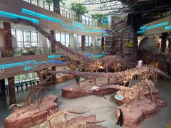 -安徽省地质博物馆