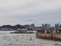 -星海广场