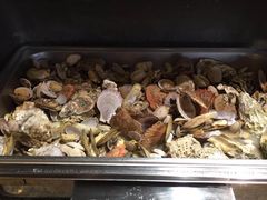 -青岛银沙滩温德姆至尊酒店