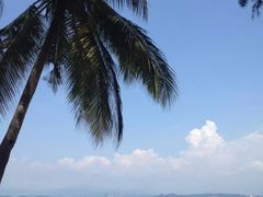 -东姑阿都拉曼海洋公园