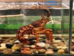 -大东方海鲜酒楼(小武基桥店)