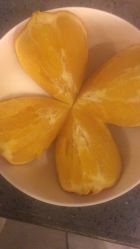 -苗塑堂减肥艾灸