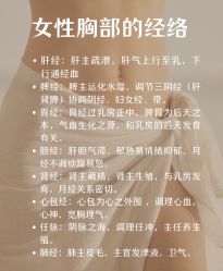 -慈蕊美容养生·专业经络调理