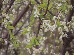 -仙海旅游度假区