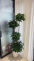 -悦色嘉丽科技美肤健康管理
