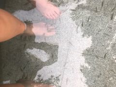 -碧水湾温泉