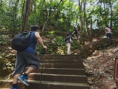 -凤栖山