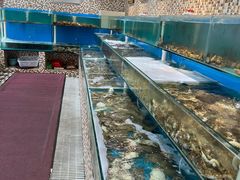 水产区-港畔赶海蒸汽海鲜烧烤自助(仙螺岛店)