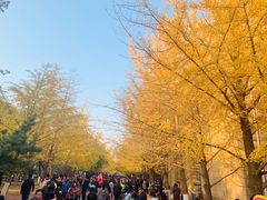 -辽宁大学(崇山校区)
