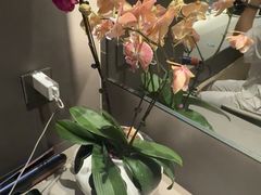 -曲水兰亭·兰亭·宴(上海虹桥店)