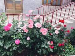 -济南方特东方神画