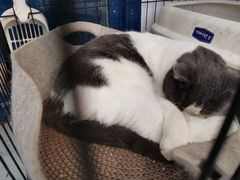 -颐玖 咖啡|甜品