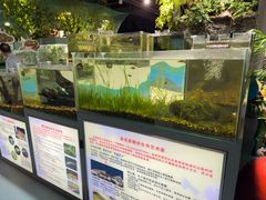 -上海大自然野生昆虫馆(东方明珠·爬宠昆虫探索中心)