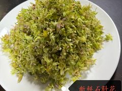 -云南木水花野生菌交易中心