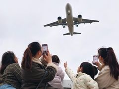 -空港花田景区
