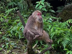 -西岭雪山大飞水景区