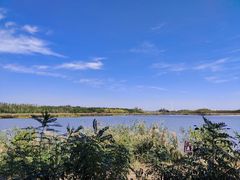 -西青郊野公园
